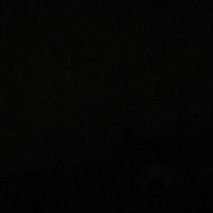 Meet your Posher, Samuel